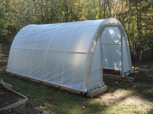 hoop-greenhouse