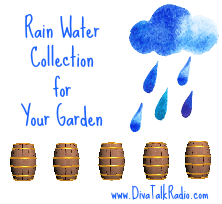 rain water collection garden