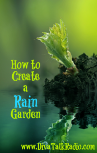 create a rain garden